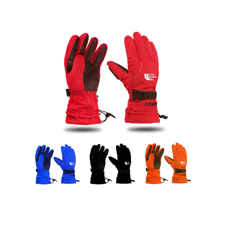 دستکش دوپوش نورث فیس The North Face