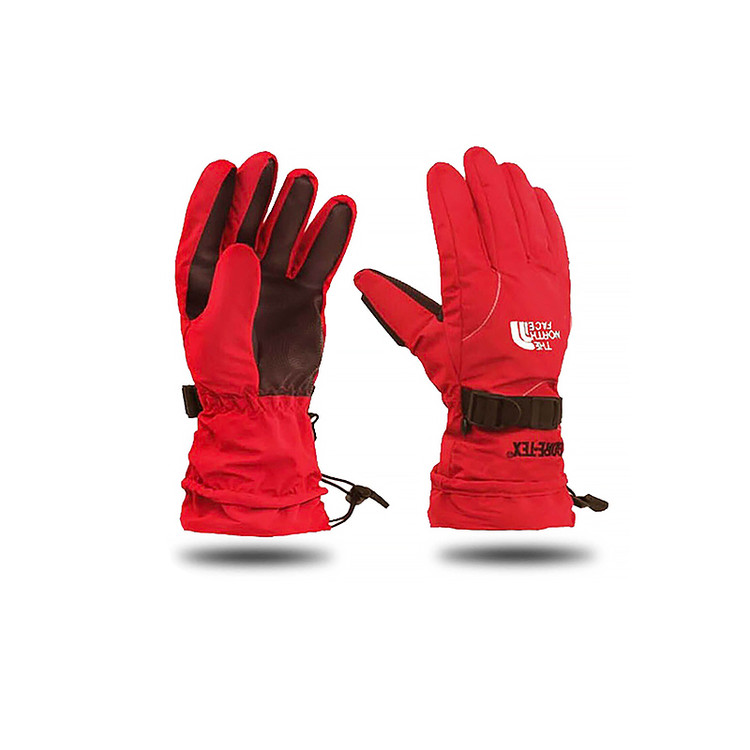 دستکش دوپوش نورث فیس The North Face